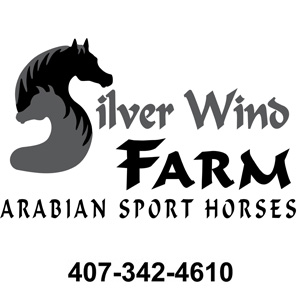 Silver Wind Arabian